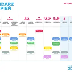 Kalendarz szczepień dzieci: od urodzenia do 19. roku życia. Szczegółowy harmonogram dawek i typów szczepień.