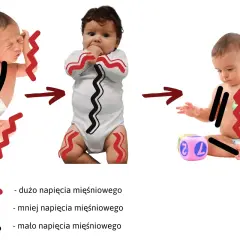 Trzy etapy rozwoju niemowlęcia: od wzmożonego napięcia mięśniowego, przez zmniejszone, aż do swobodnych ruchów.