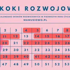Kalendarz skoków rozwojowych u dziecka w pierwszym roku życia. Kolorowe pola z numerami tygodni wskazują kluczowe momenty rozwoju.
