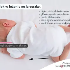 Noworodek w leżeniu na brzuszku, z ciężarem ciała skupionym wysoko. Główka oparta na policzku, rączki blisko ciała, nóżki zgięte.