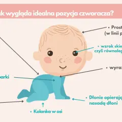 Idealna pozycja czworakowania: stabilny tułów, nisko barki, stopy neutralnie, kolanka w osi, głowa prosto, wzrok poziomo, szyja wyraźna.