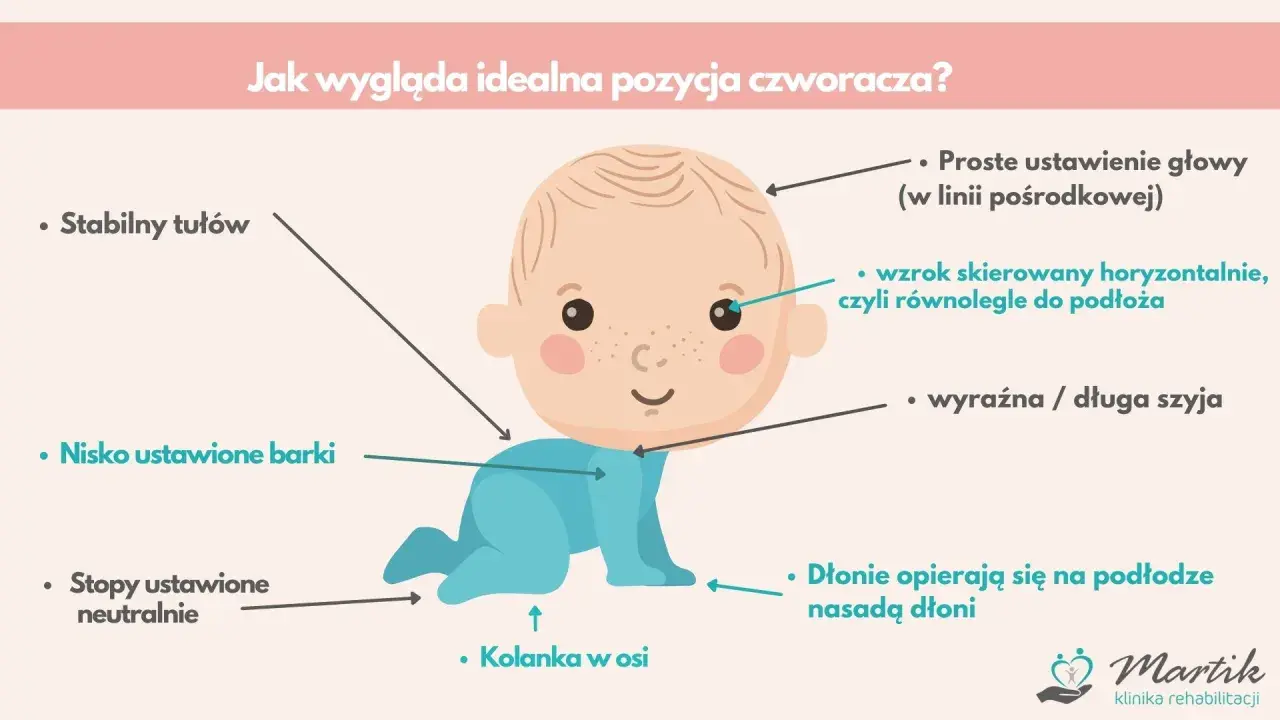 Idealna pozycja czworakowania: stabilny tułów, nisko barki, stopy neutralnie, kolanka w osi, głowa prosto, wzrok poziomo, szyja wyraźna.