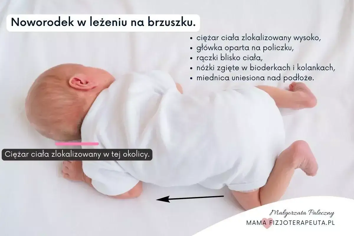 Noworodek w nieprawidłowym leżeniu na brzuchu. Ciężar ciała skupiony wysoko, główka na policzku, nóżki zgięte, miednica uniesiona.